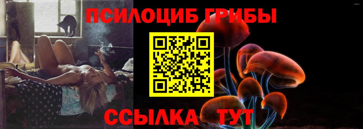 Ейск  Галлюциногенные грибы прущие грибы  Вход с VPN 